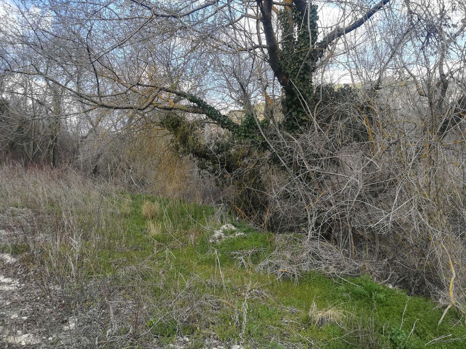 Продава се Парцел в Добрич, Център - 500 кв.м за 17 €/кв.м - Снимка #3