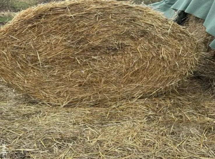 Vând baloți de fân și paie.