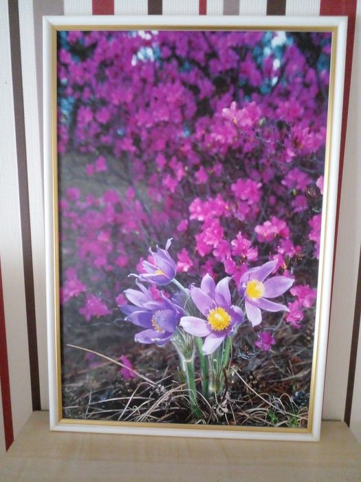 Продаю картину очень красива