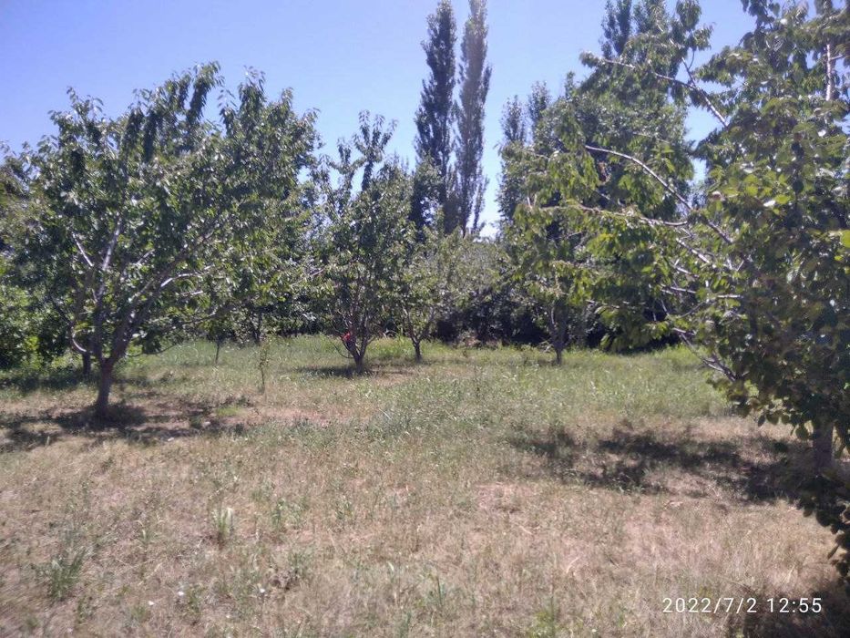 Продаётся участок-дача