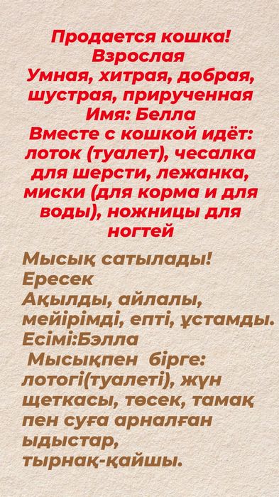 Продаётся кошка!    Мысық сатылады!