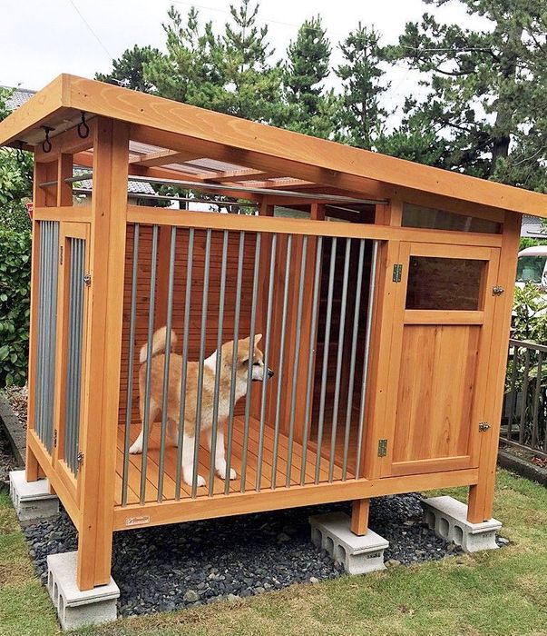 Вальер для собак