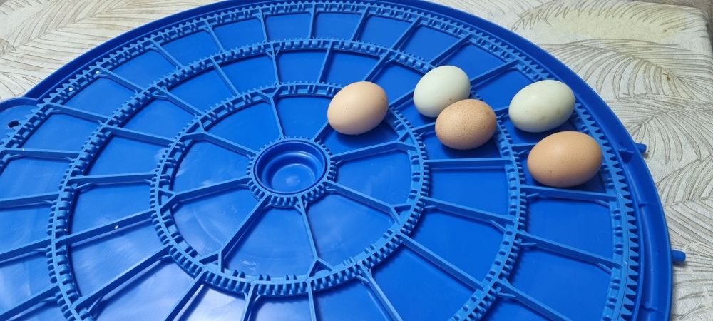 Inkubator Avtomat 52 talik Yengi