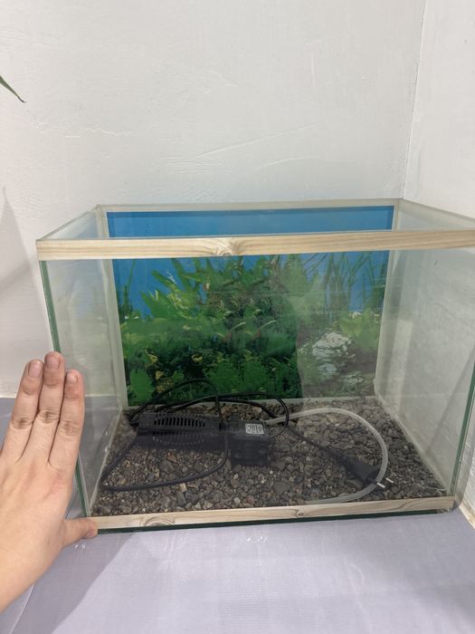 Продам аквариум с фильтром
