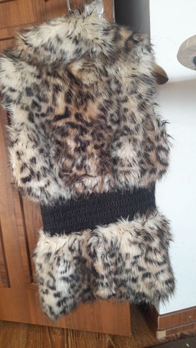 Mòynali leopardlik nimcha