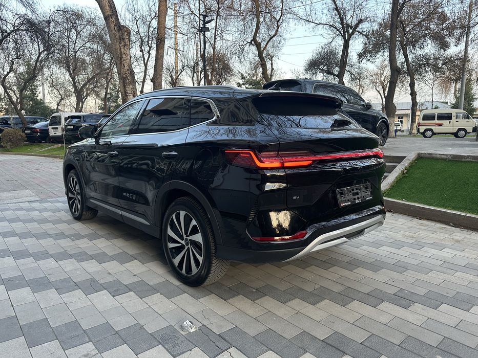 Byd Chempiyon Honor 2024 Yil