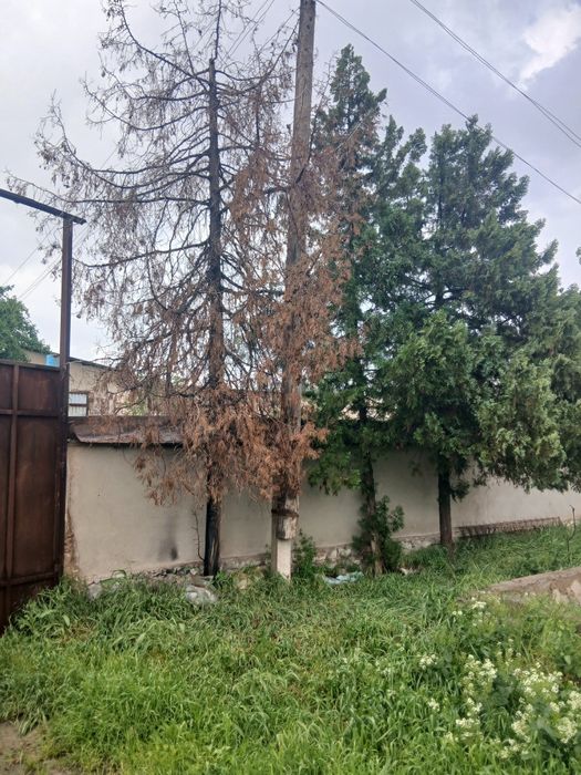 Бино сотилади ёки арендага берилади