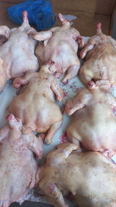 Продам самокат пользовались месяц