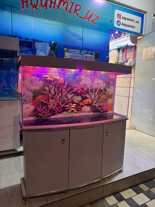 Akvarium 200-Litr yengi sifat a’lo