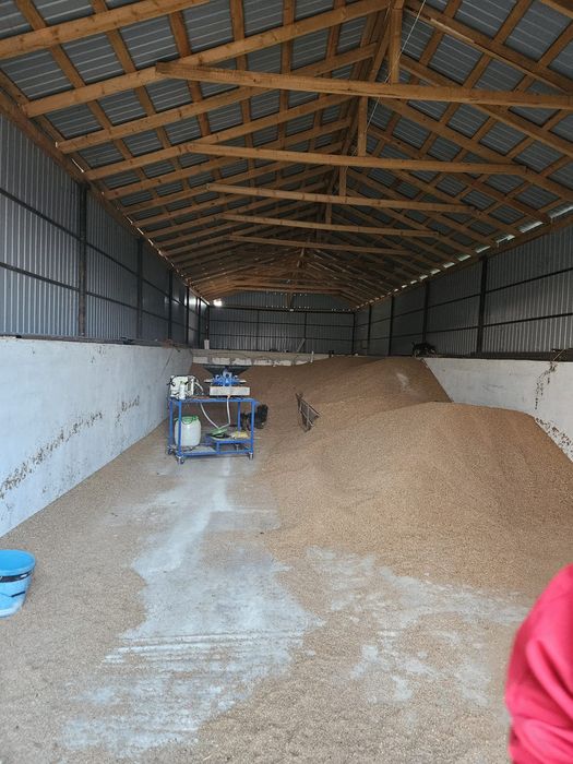 Casă + Teren cu livadă de vânzare | Ibrianu, DB