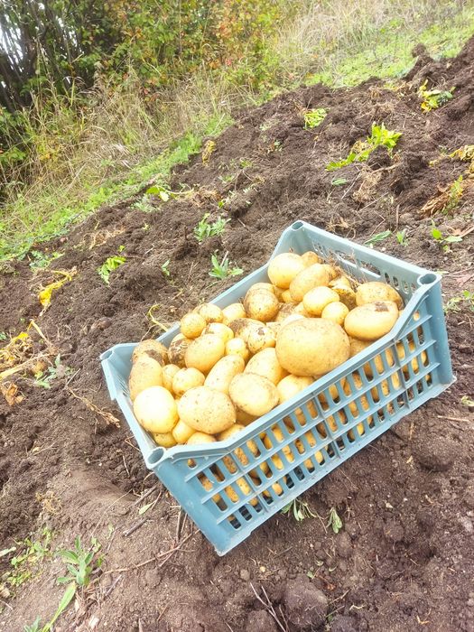Продам дачный участок 6 соток.