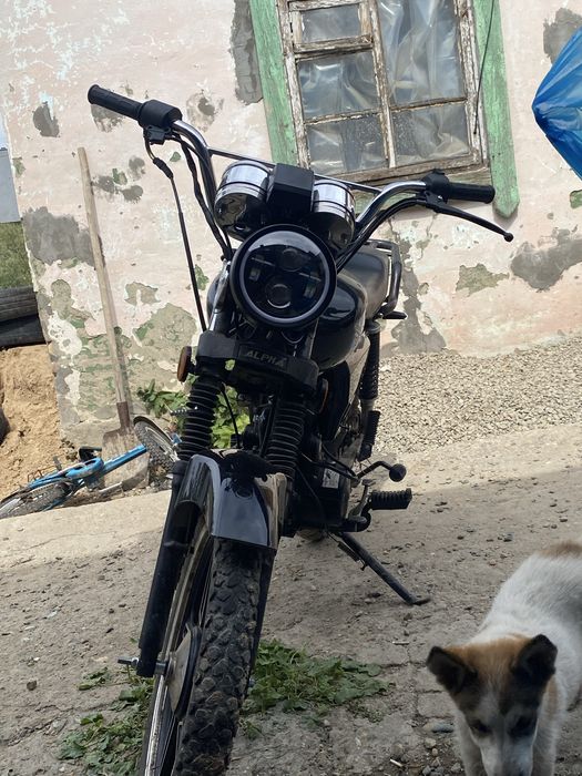 альфа нидьзя спорт