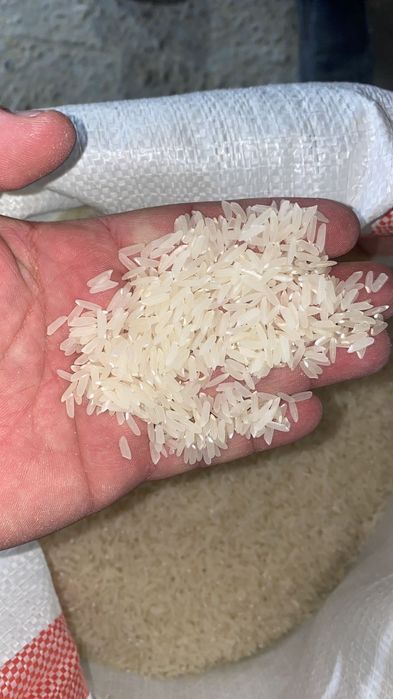 Лазер күріш оптом