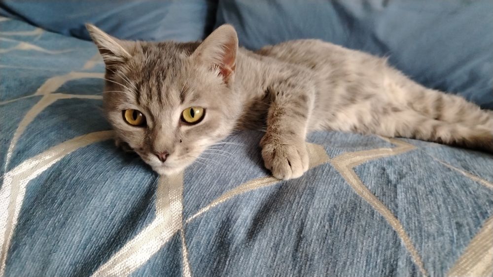 Мальчик 4 месяца
