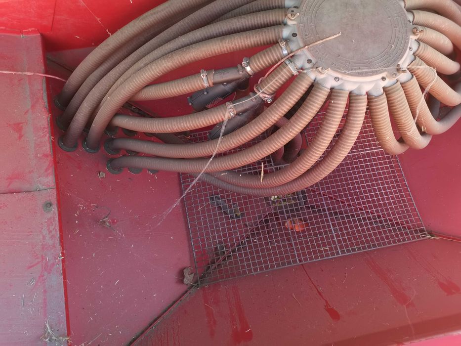 semanatoate paioase vogel and noot pe discuri