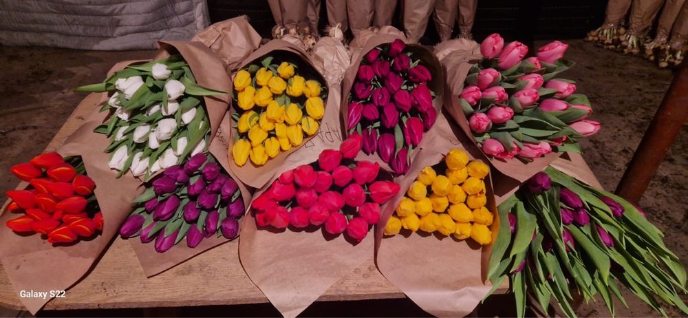 Тюльпаны розы цветы