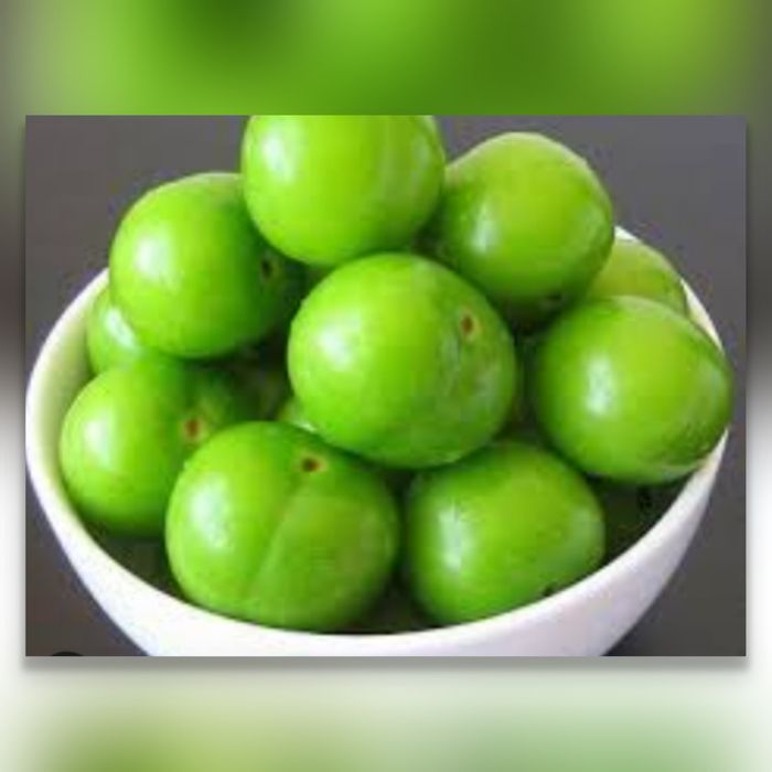 Sveji koksulton dovchala keldi