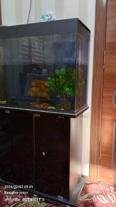Akvarium va shkafchik
