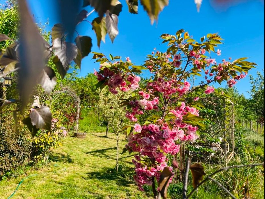 Продава се Къща в с. Песнопой, Област Пловдив - 50 кв.м за 357 €/кв.м - Снимка #18