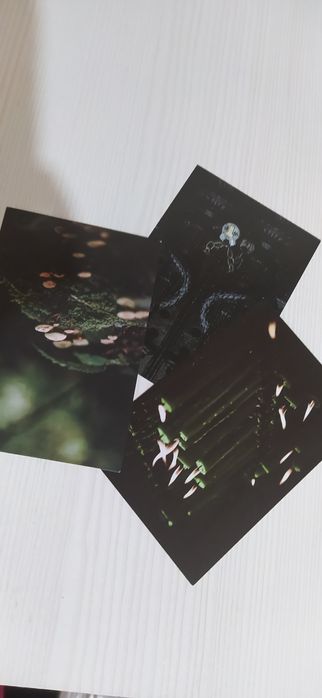 Растоплиница сургуча, для письма