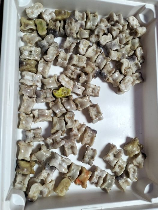 Асыки продаём для детей!