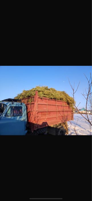 Жонышка шоп сатылады