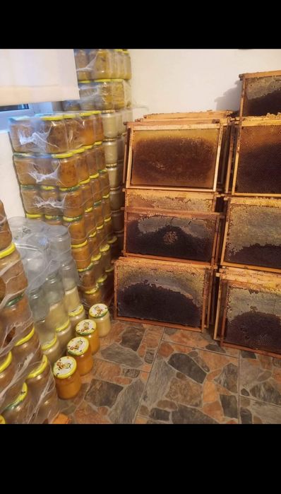 Vând miere de albine