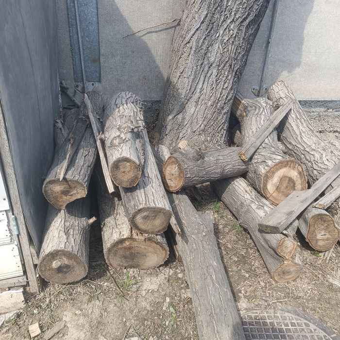 Продам пеньки от ореха.