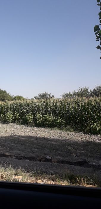 Фаргона шахрида селос макка поя