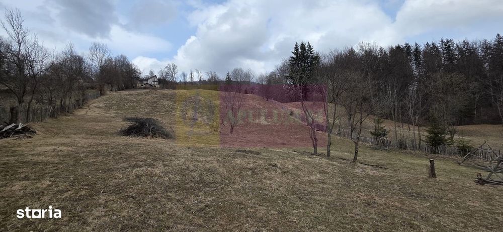 Teren intravilan de vanzare in Valea Doftanei