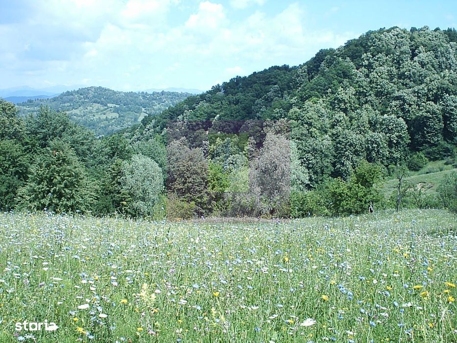 Teren intravilan de vanzare in Telega