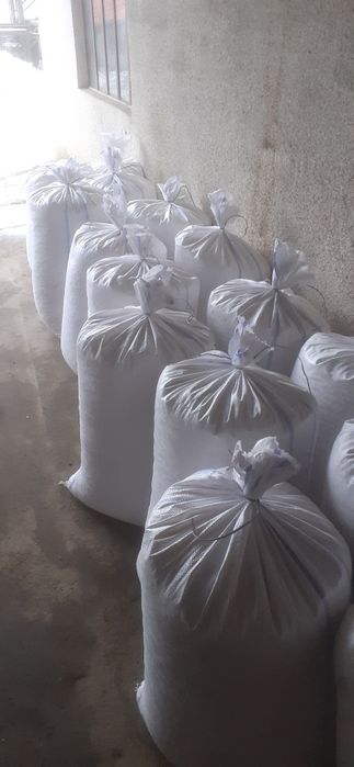 Oferta  Porumb boabe 2025