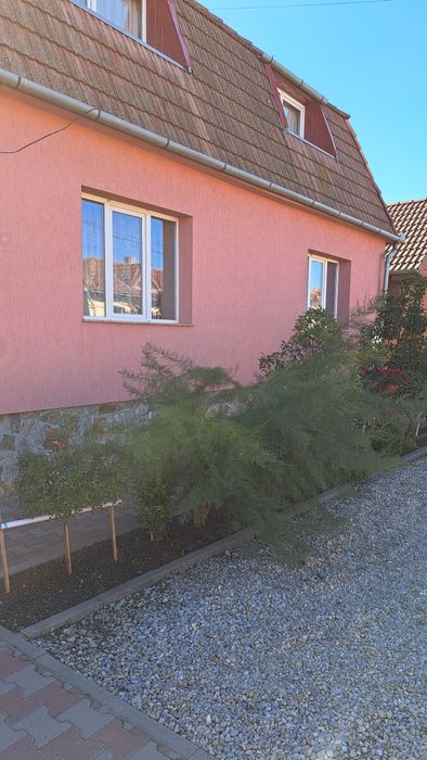 Casa tarian plus spatiu comercial