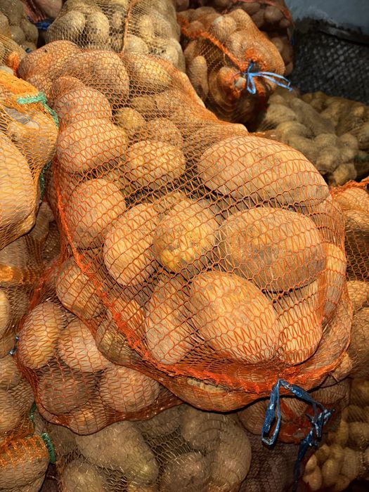 Vand cartofi consum samanta si pentru animale