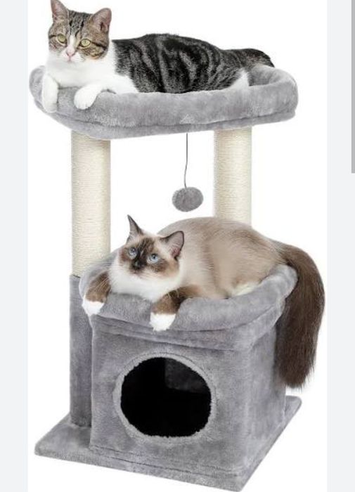 Mushuk uychasi xarxil turdagi kota va kichik uychalar