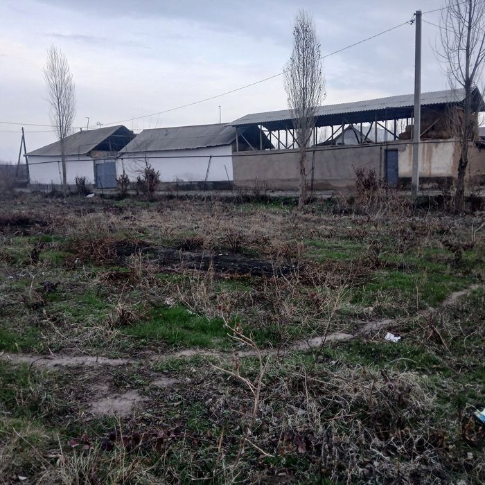 Своя !!! Продам землю юкорич чирчик Саксон ота 5 сотих