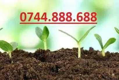 Pamant negru, balast, sort, nisip, ciment