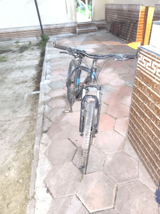 26 veliy kafolat langan
