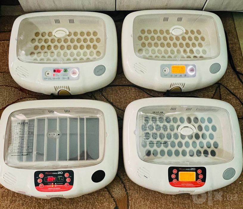 Incubatorlar original koreyski