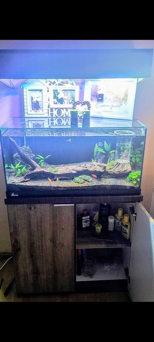 Acvariu Diversa 120 L +Stand+Pești