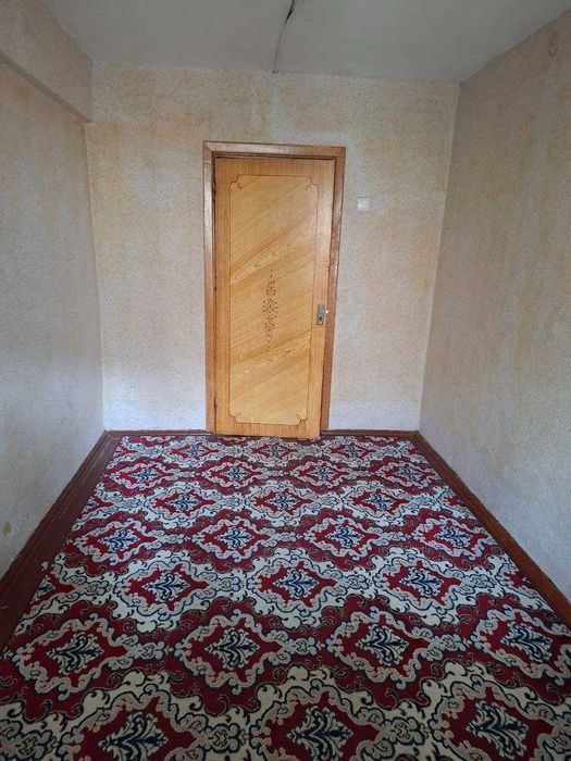 Olmazor tumani. Qora qamish 1/2