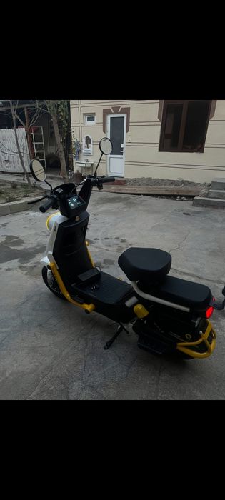 Elektor sukutur yangidek