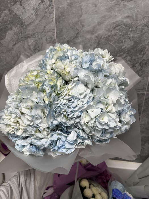 Цветы за полцены!