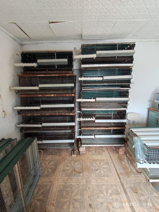 Клетка для перепелов