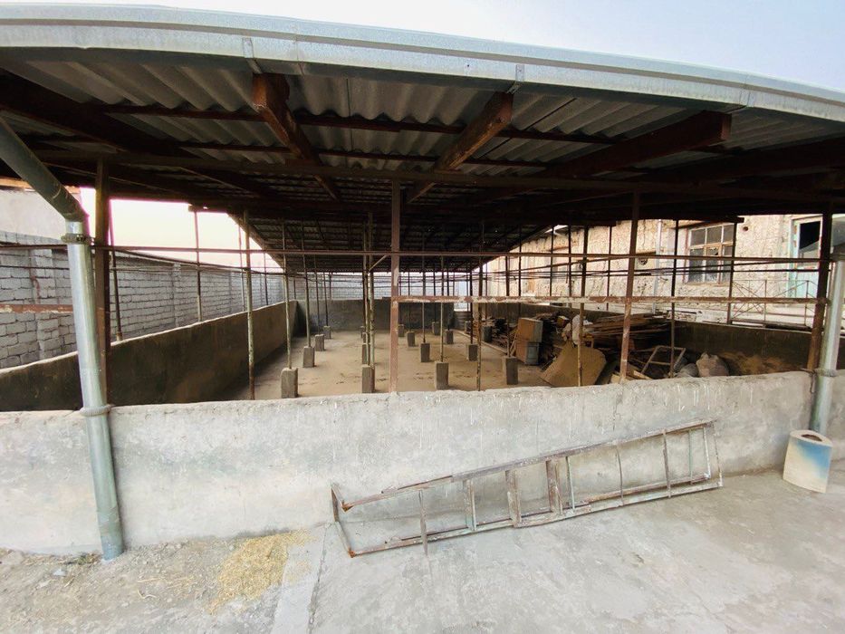 Назарбек мостидан 8 км ичкарида 12 Сотокли ховли