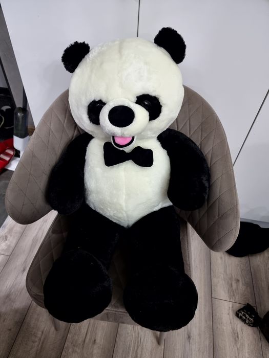 Медведь  медведь