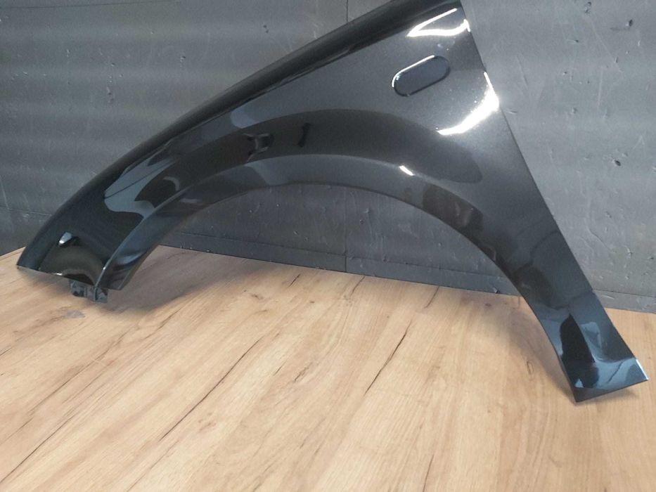 Aripa Fata Stanga Seat Leon 2005-2008 (LC9Z (Negru))