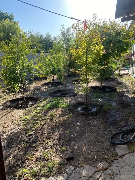 Продаю дом в хорошем месте