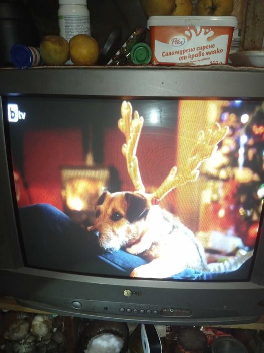 Телевизори на 21"