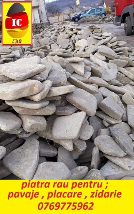 Excavatii  Târgu Neamț și imprejurimi